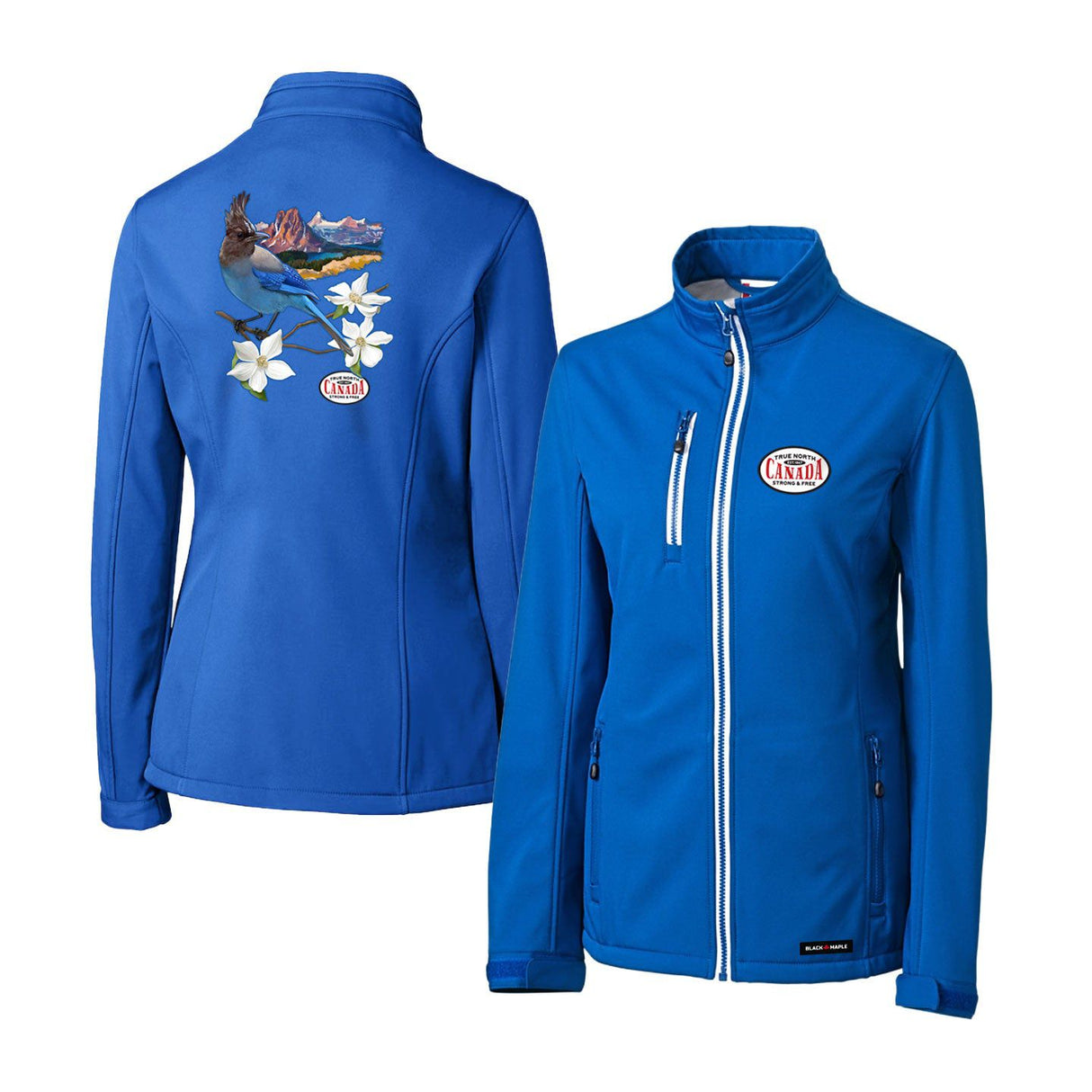 Steller's Jay Womens Softshell Jacket