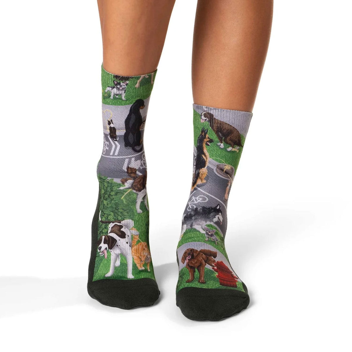Women's Dog Mama's Park Drama Socks