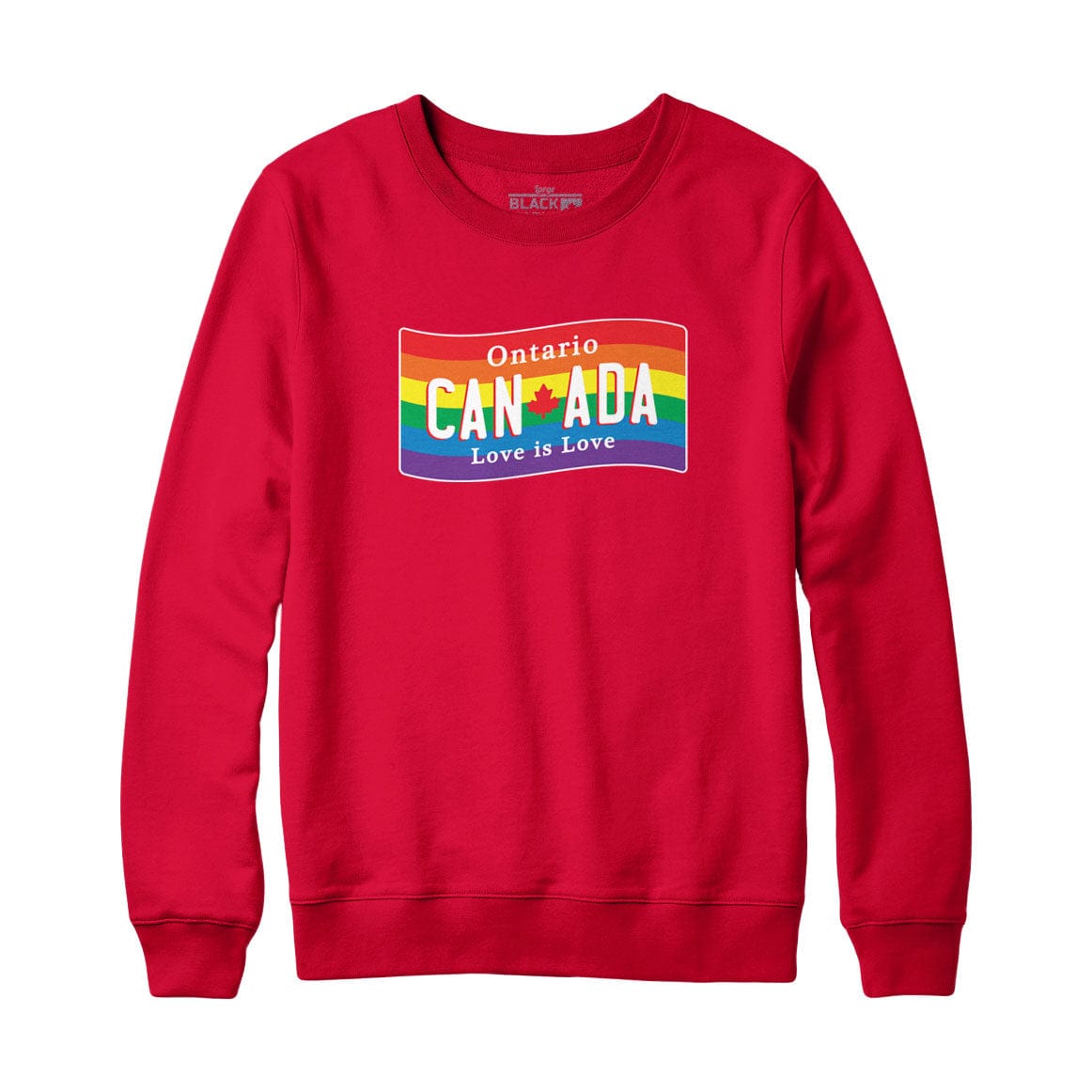 Ontario Love is Love Sweatshirt Hoodie