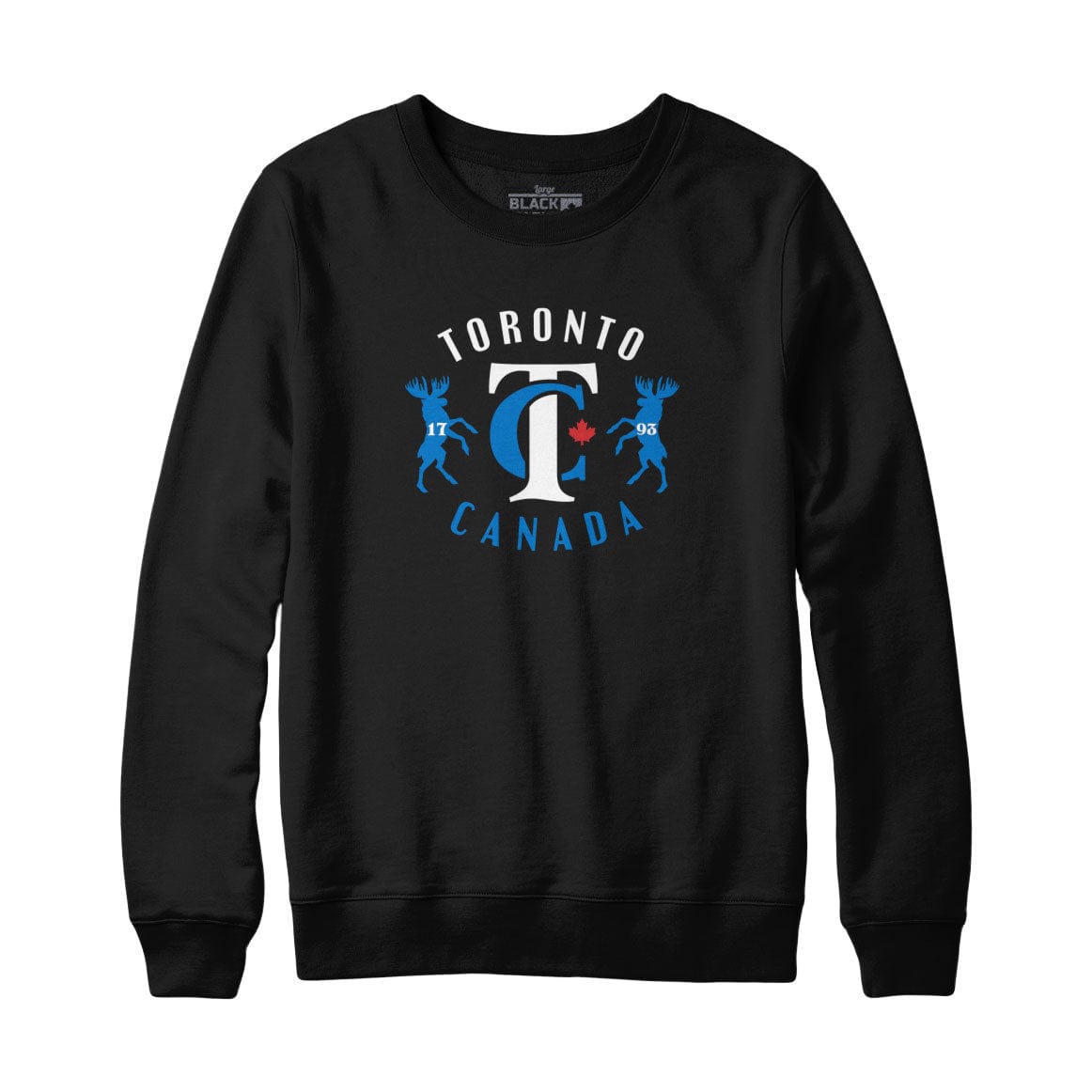 Vintage Toronto Canada Sweatshirt Hoodie