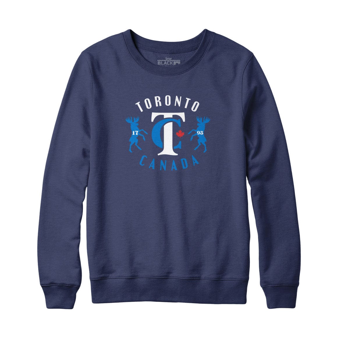 Vintage Toronto Canada Sweatshirt Hoodie