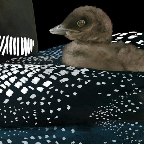 Ontario Common Loon Provincial Bird (close up)