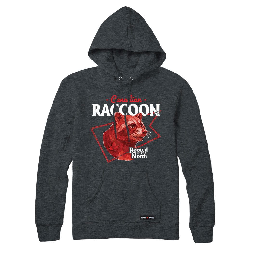 Canadian Raccoon Low Poly Bust Sweatshirt or Hoodie