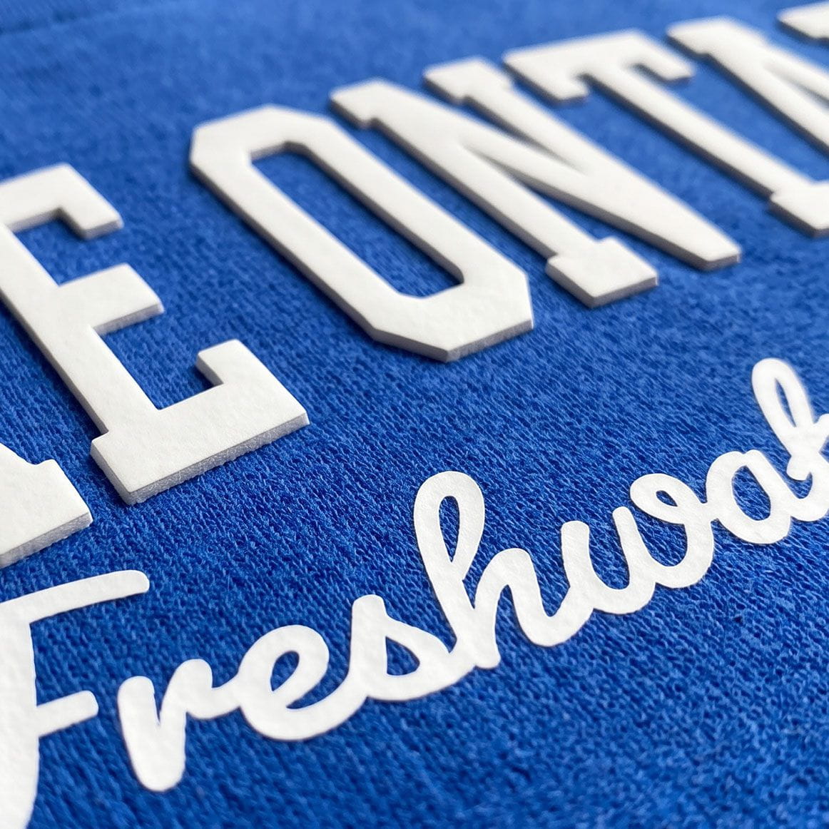 Lake Ontario Freshwater Crew Crewneck Sweatshirt