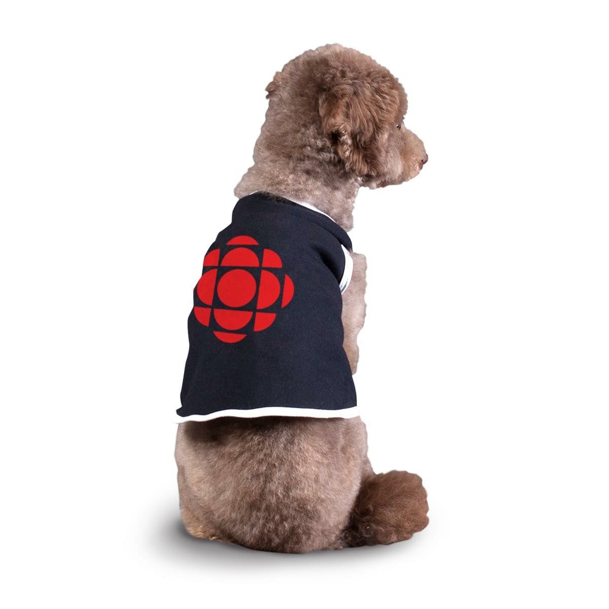 CBC Red Gem Logo Dog Apparel