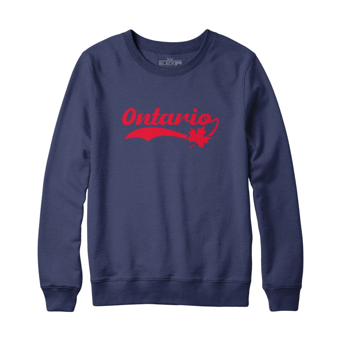Ontario Retro Baseball Logo Sweatshirt or Hoodie