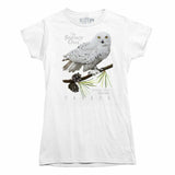 Quebec Snowy Owl Provincial Bird Womens Tshirt White